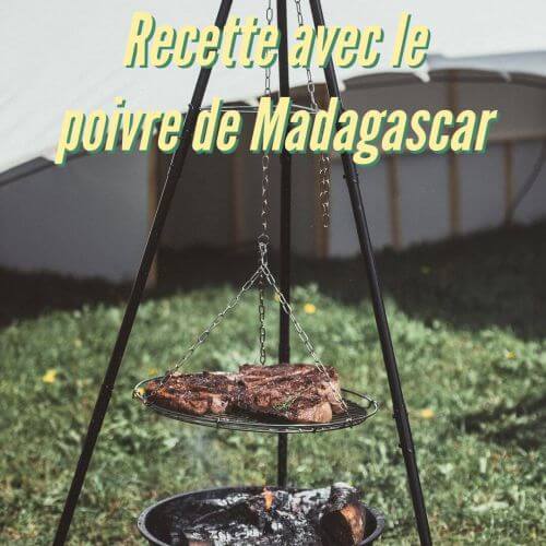 Creative cuisine with wild Madagascar pepper - all you need to know to use it like a chef